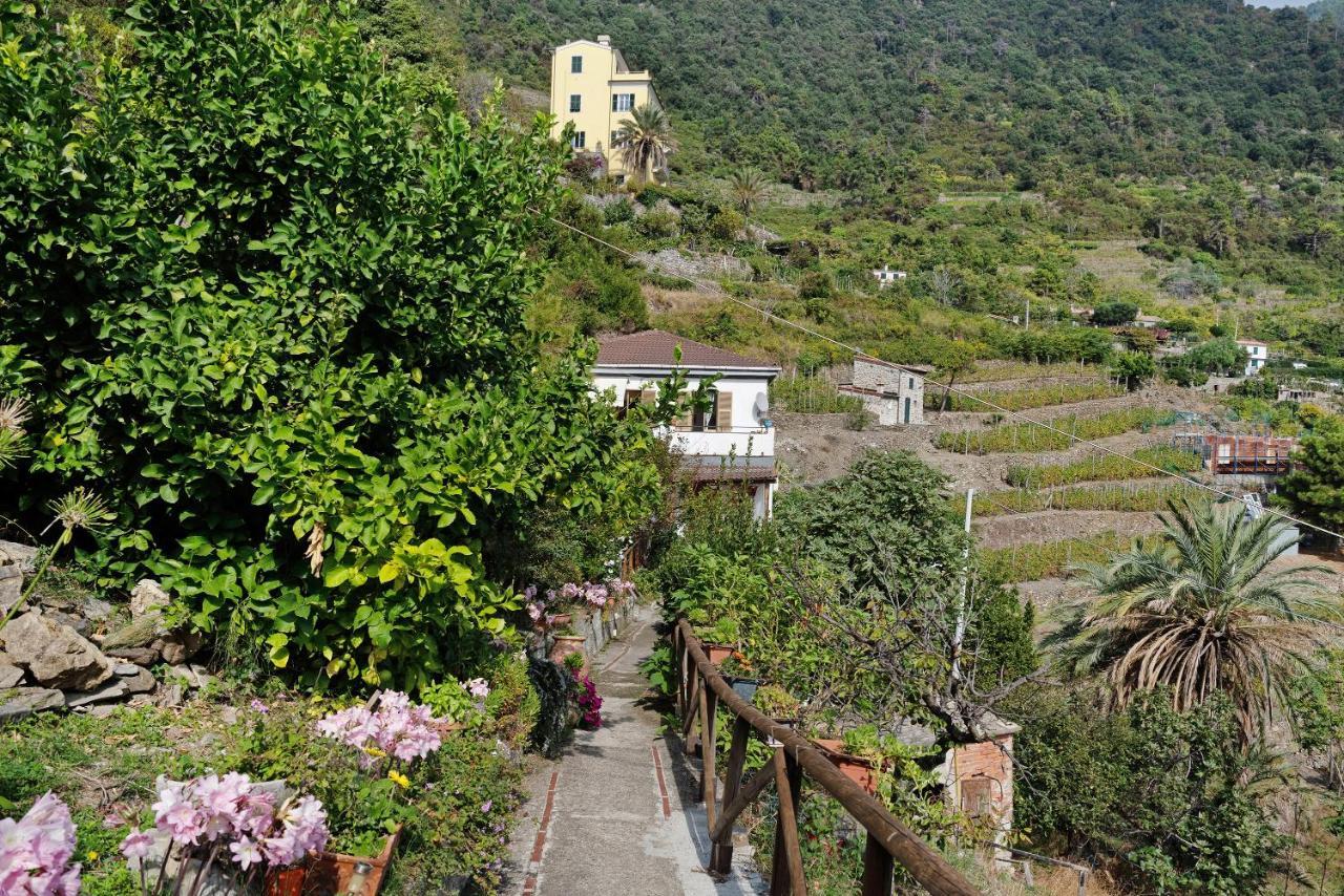 Villa Lardarina Corniglia Exterior photo